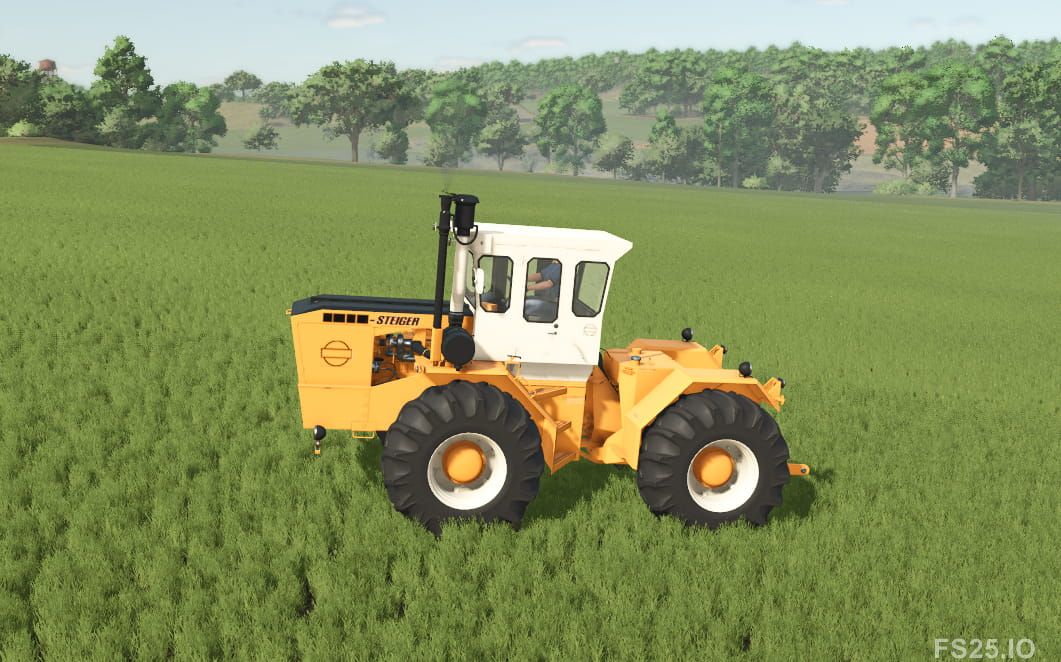 Photos of Lizard Steiger 250 4